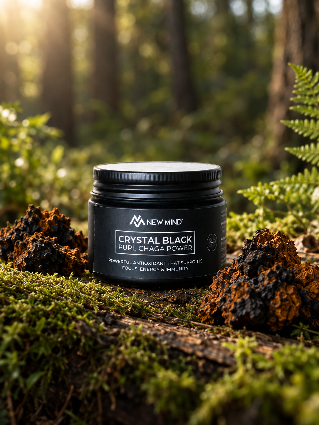 Crystal Black Chaga Extract (30g/30cups)