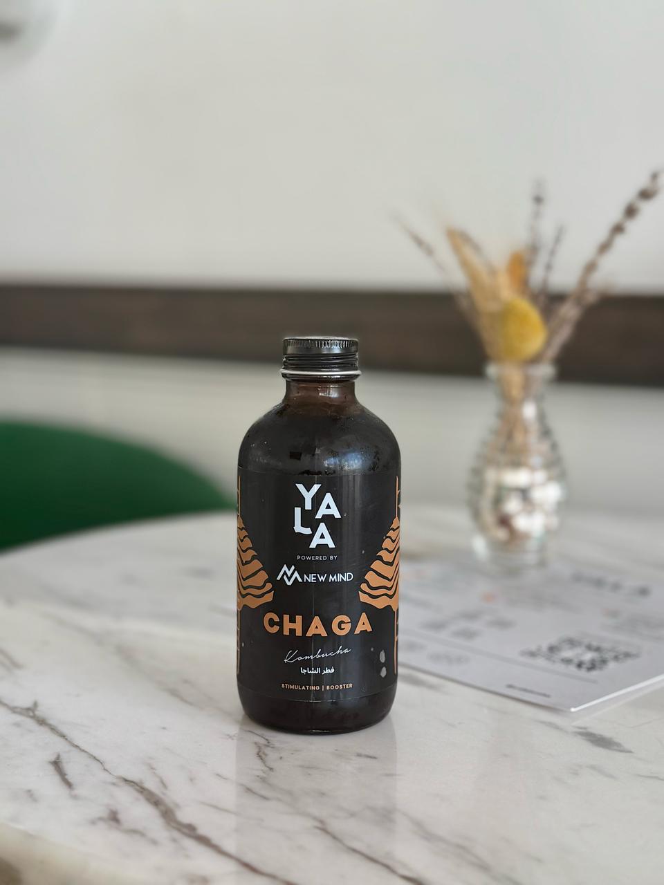 Crystal Black Chaga x YALA Kombucha functional mushroom kombucha bottles
