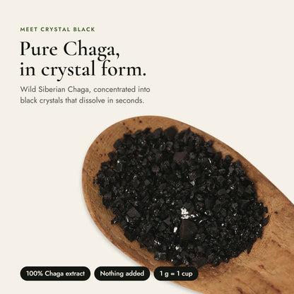 Close-up of Crystal Black Chaga crystals on a wooden spoon: pure Chaga in crystal form