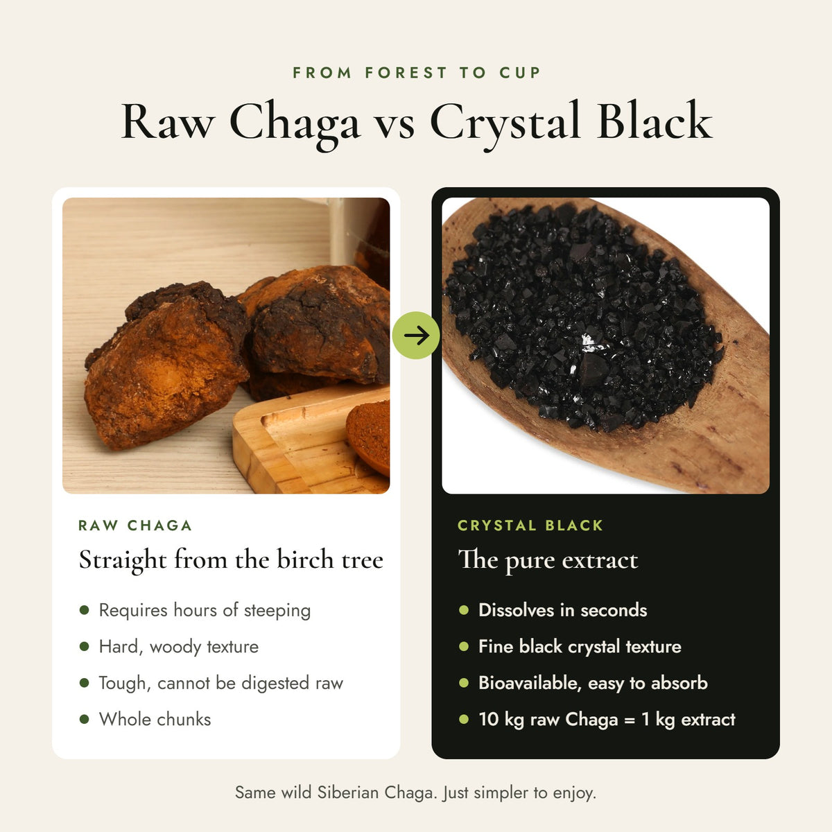 Raw Chaga vs Crystal Black: dissolves in seconds, fine black crystal texture, 10 kg raw Chaga makes 1 kg extract